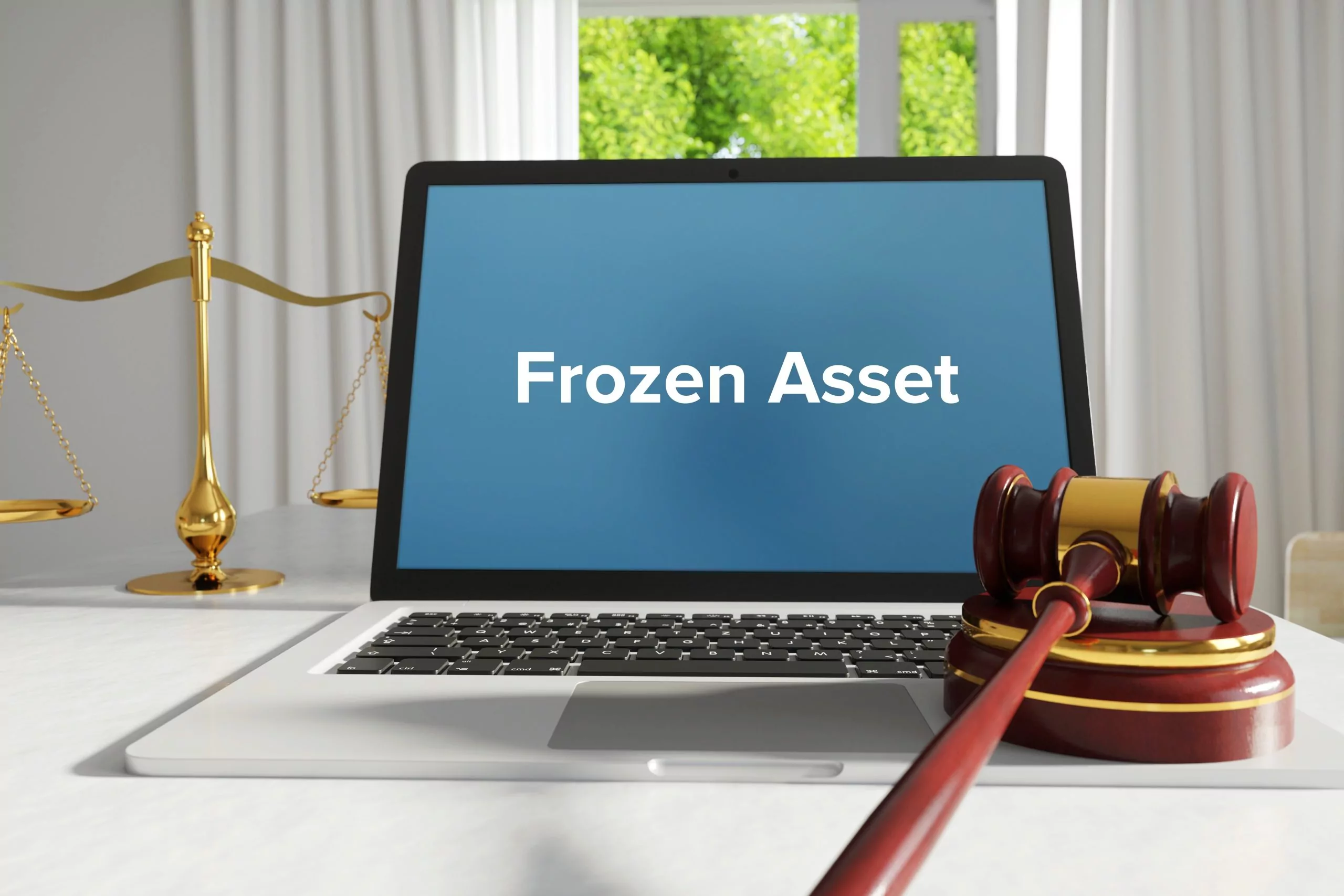 What are frozen assets?